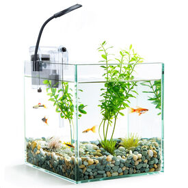 Nobleza Acuario de cristal para Peces