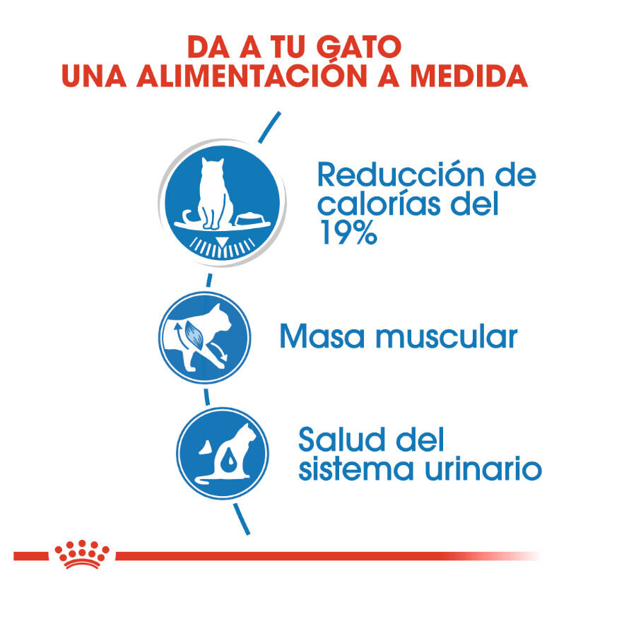 Royal Canin Ultra Light sobres para gatos thumbnail