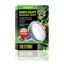 Bombilla DAYLIGHT BASKING SPOT 150 W, , large indicador imagen numero 3