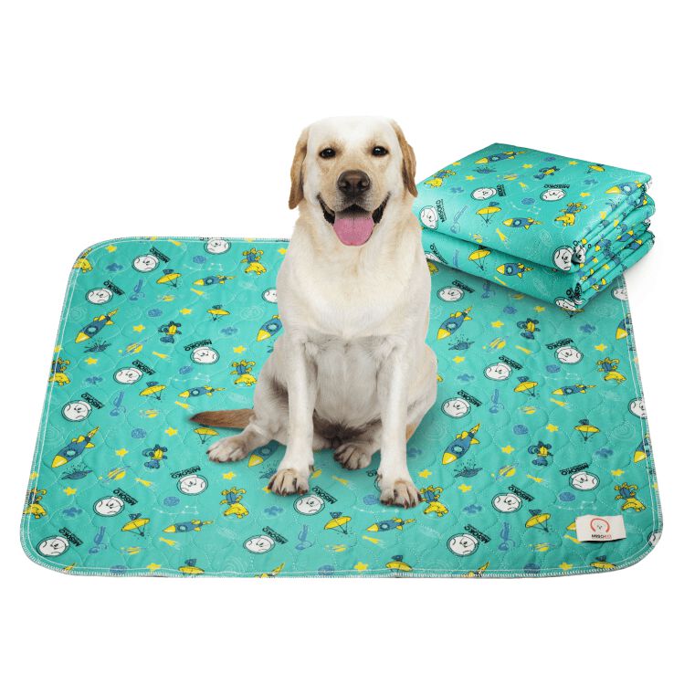 Empapador Reutilizable Misoko Verde 70x80cm thumbnail