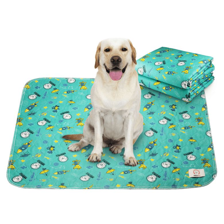 Empapador Reutilizable Misoko Verde 70x80cm thumbnail