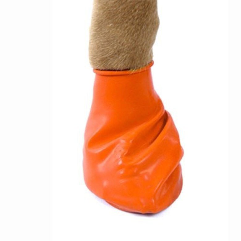 Botas de caucho natural Pawz para perro color Naranja, , large image number null