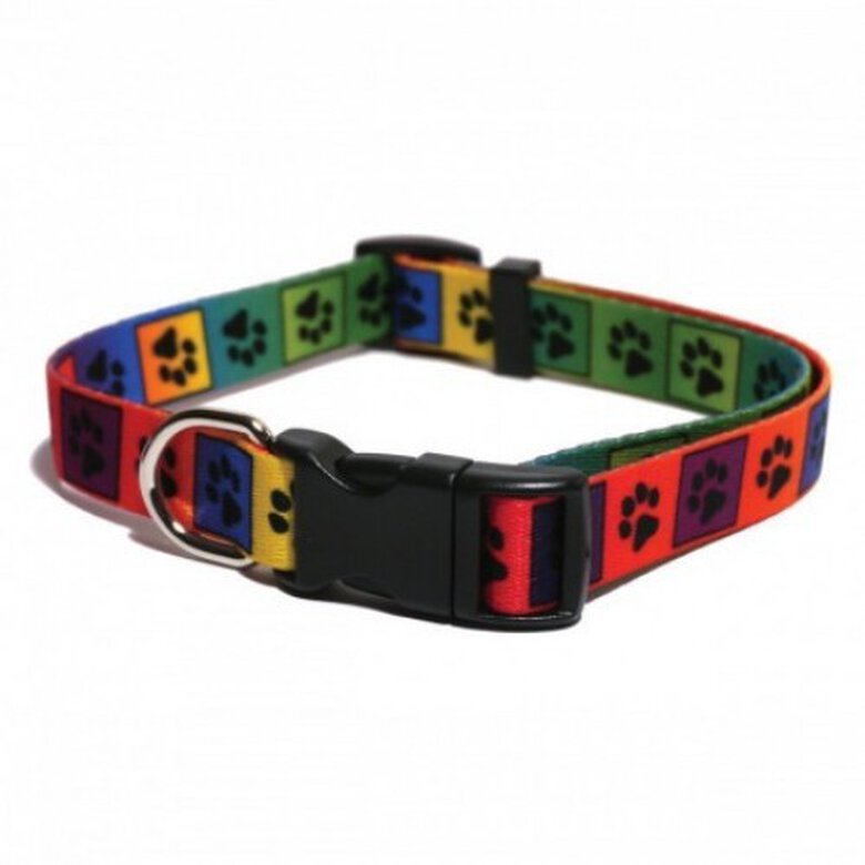 Collar diseño Multihuellas para perros color Multicolor, , large image number null
