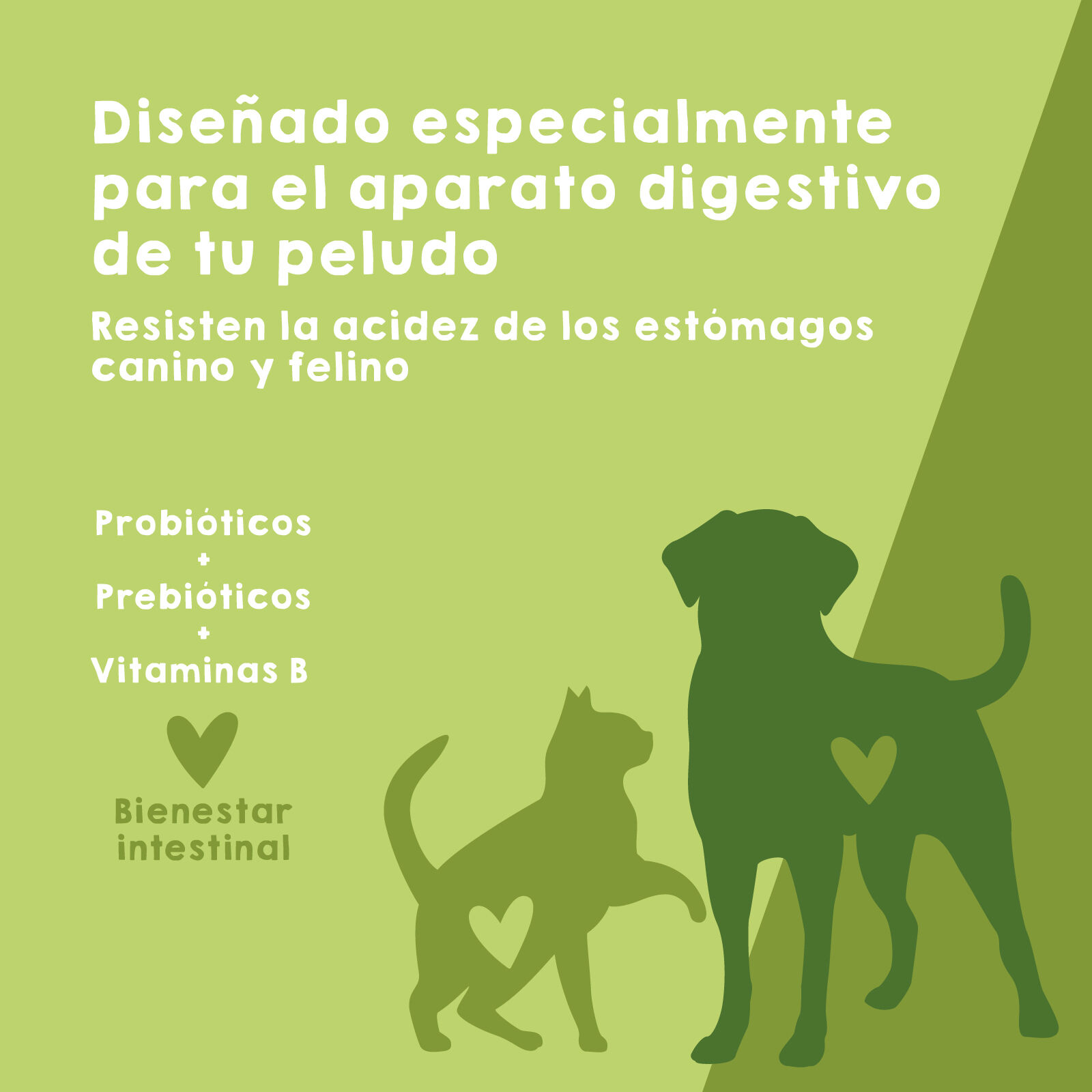 Maikai Pets Probioticos Immune Digestive para perros y gatos thumbnail