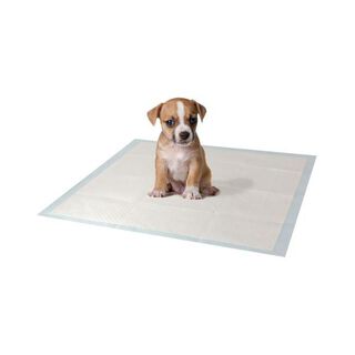 Paquete de 30 empapaderas para el hogar