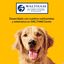 Pedigree Huesos Masticables Good Chew Buey para Perros Pequeños, , large indicador imagen numero 7