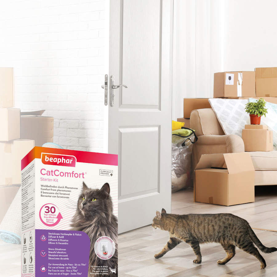 Beaphar CatComfort Difusor Relajante con Recambio para gatos, , large Imagen numero 5