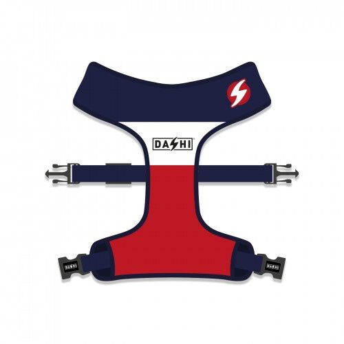 Dashi neo mesh stripes arn&eacute;s rojo y azul para perros, , large Imagen numero 1