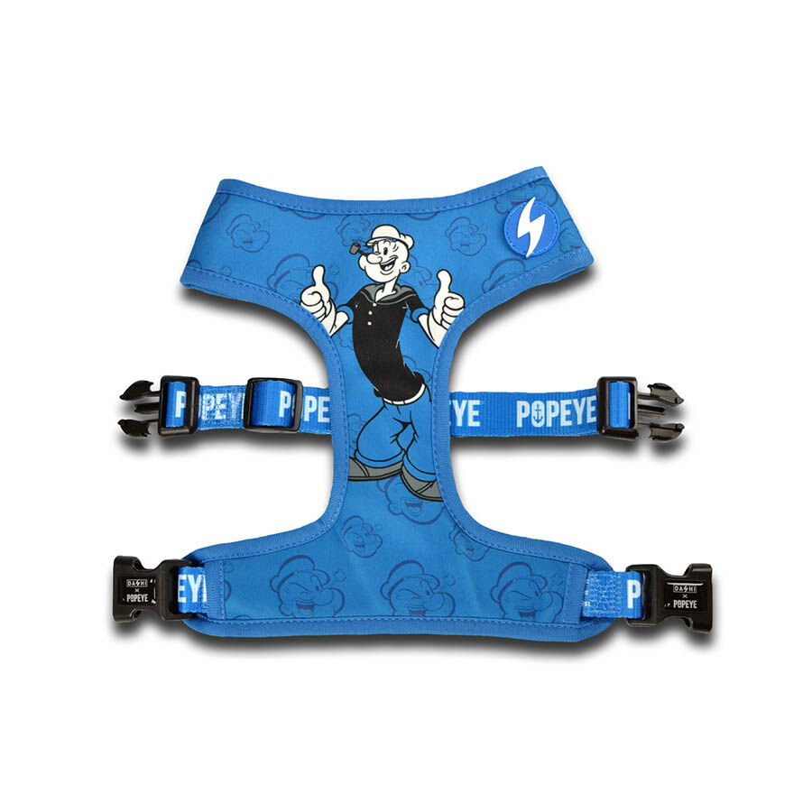 Arn&eacute;s reversible Neo Mesh Popeye para perros color Azul, , large Imagen numero 1