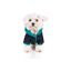 Groc croc abrigo reversible verde para perros, , large indicador imagen numero 2