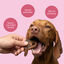 dr.bimix Morros de Cerdo para Perros | Masticaci&oacute;n Natural y Salud Dental, , large indicador imagen numero 3