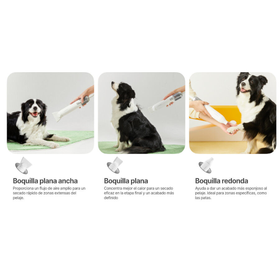 Neakasa F1 Fast Secador de pelo para perros, , large Imagen numero 8