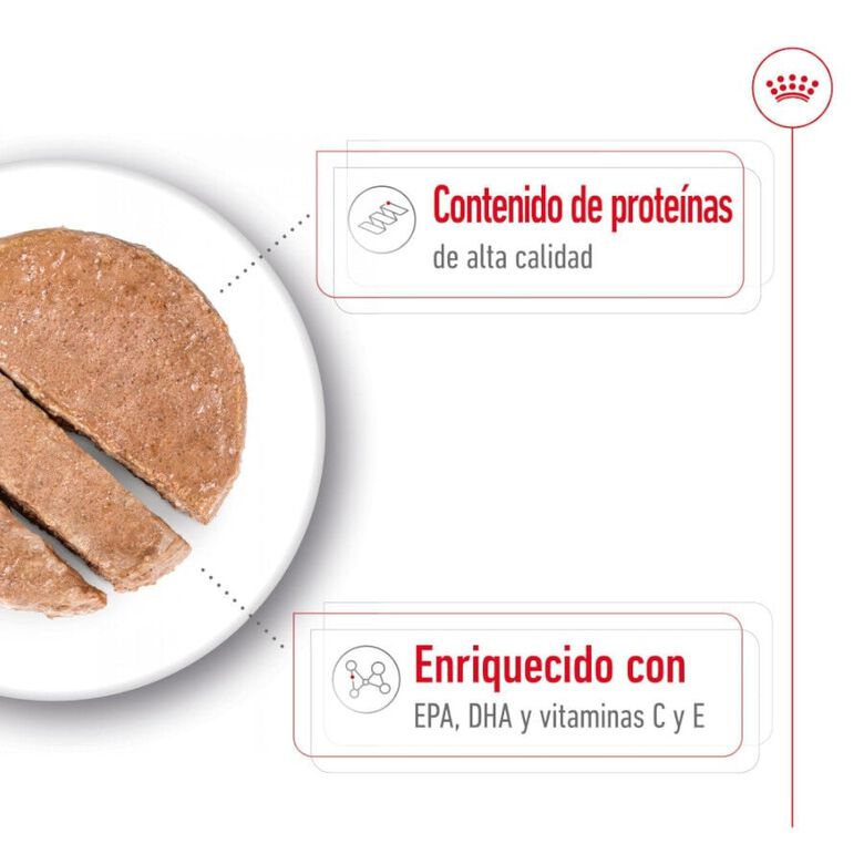 Royal Canin Medium 7+ Ageing lata para perros thumbnail