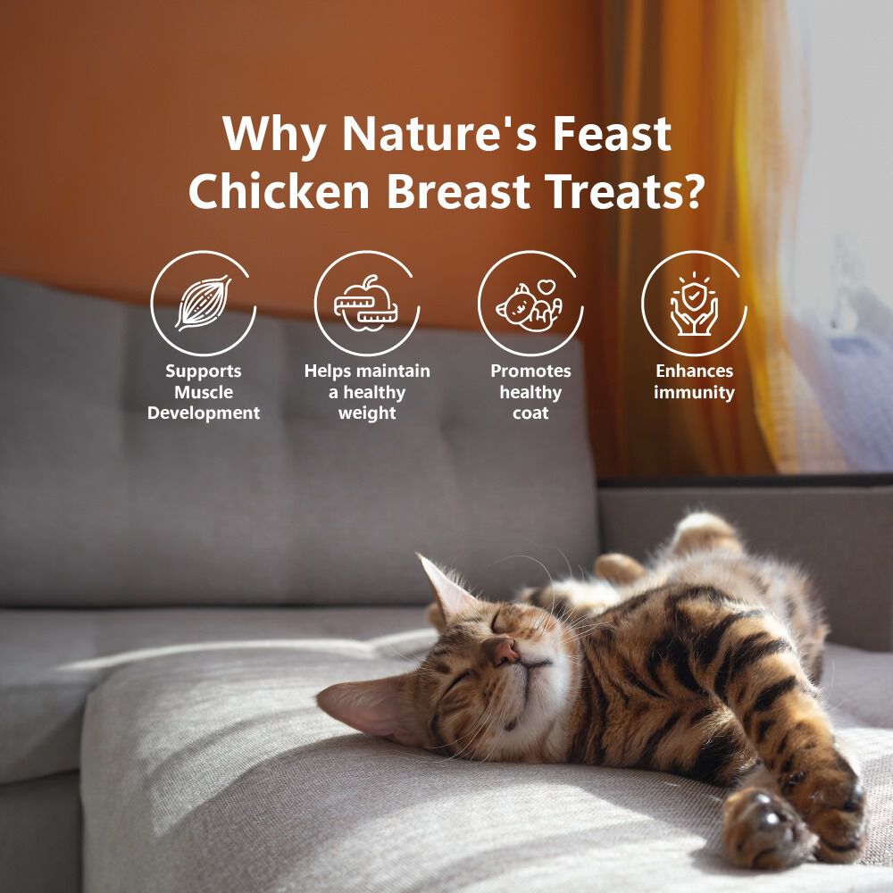 Golosinas liofilizadas para gatos: pechuga de pollo (50 g/1,76 oz), , large Imagen numero 5