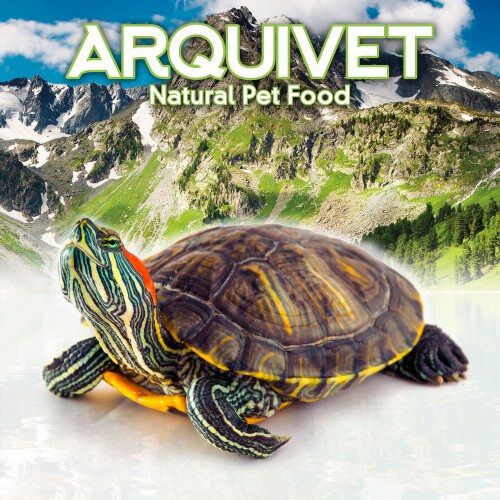 Barritas Gammarus para tortugas acuáticas thumbnail