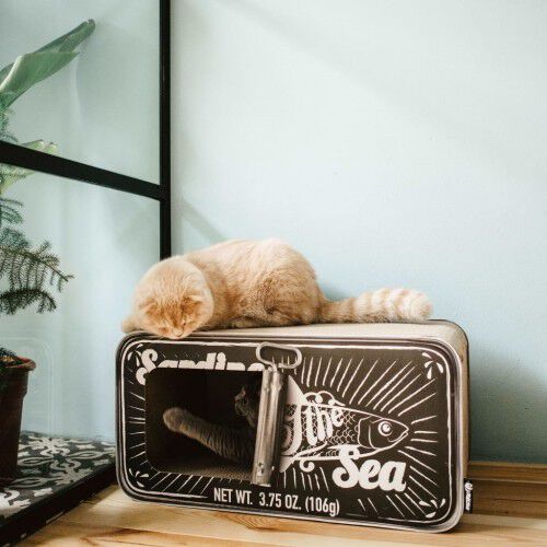 Rascador/Cueva District70 Sardine para gatos color Negro, , large Imagen numero 4