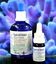 ZEOVIT CYANO CLEAN, , large indicador imagen numero 2