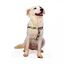 Zooz arn&eacute;s Snoopy multicolor para perros, , large indicador imagen numero 2