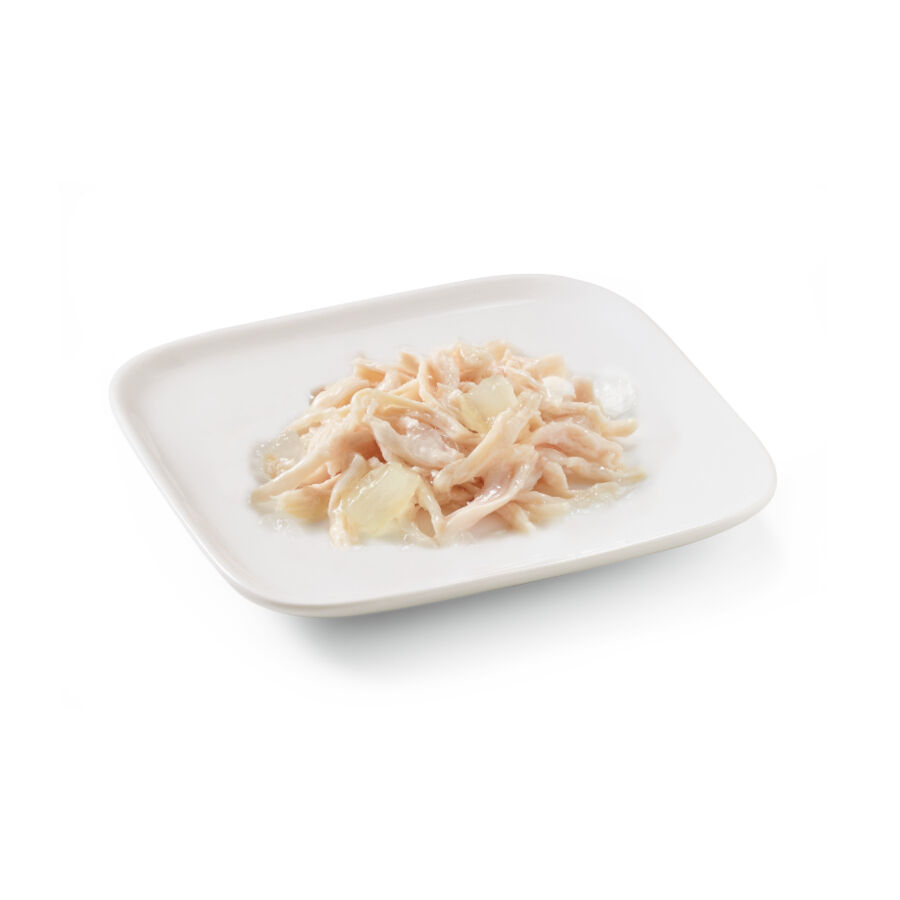 Schesir Adult pollo con aloe en gelatina lata para perros thumbnail