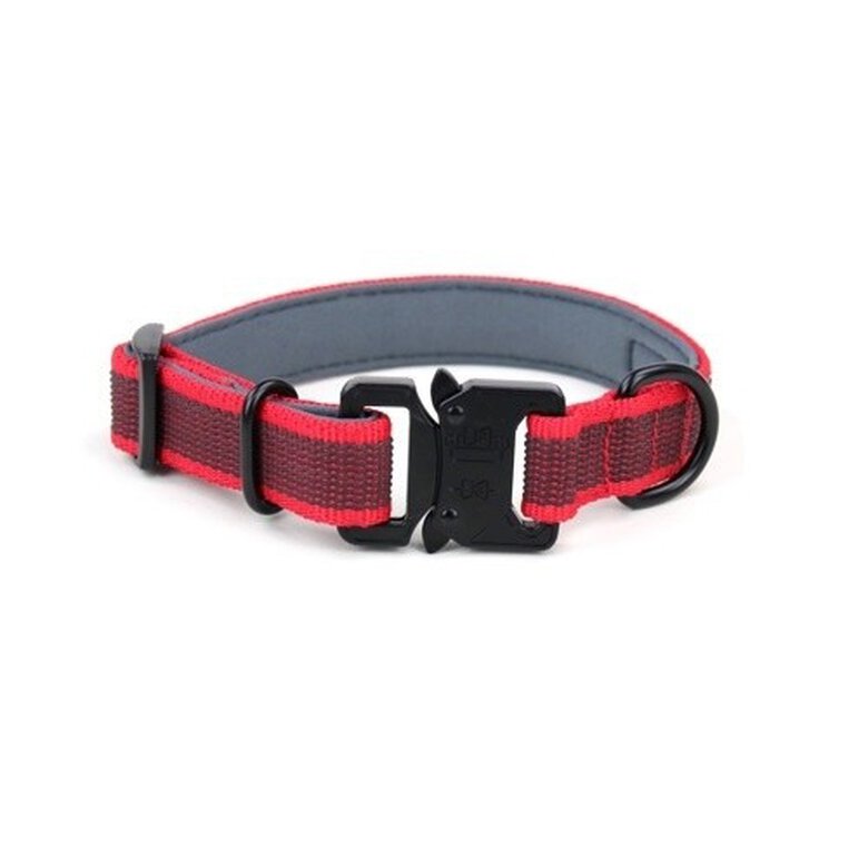 APEX DOG GEAR collar ajustable con cierre metálico rojo para perros