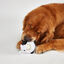 FOFOS Juguetes Peluche Toss & Fetch para Perros (2 uds) &ndash; Cerdo & Vaca con Pelota, , large indicador imagen numero 2
