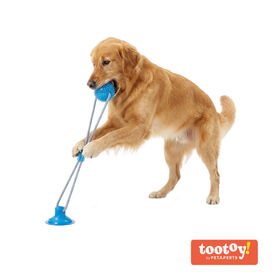Tootoy! Mordedor de Cuerda con Pelota y Ventosa Azul para perros