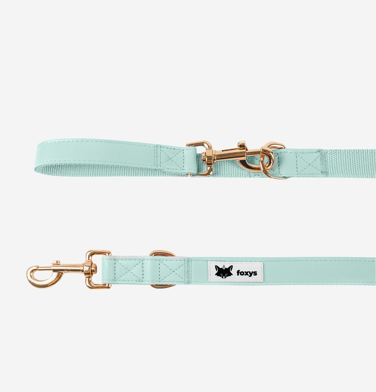 Foxys CityFox Kit Collar y Correa Aqua para perros thumbnail