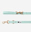 CITYFOX™ KIT COLLAR Y CORREA COLOR AQUA PARA PERROS, , large indicador imagen numero 3