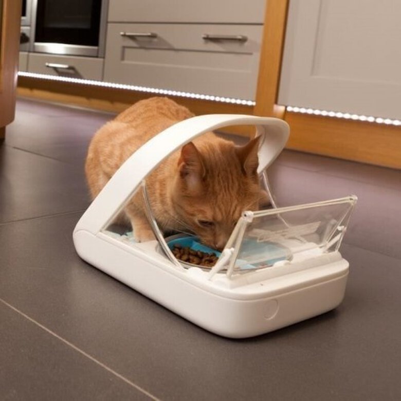 Dispensador de comida con chip electrónico para gatos, , large image number null