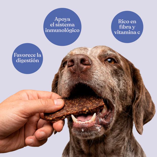 dr. bimix 93% Filetes de Conejo con 2% Naranja para Perros 500g, , large Imagen numero 2