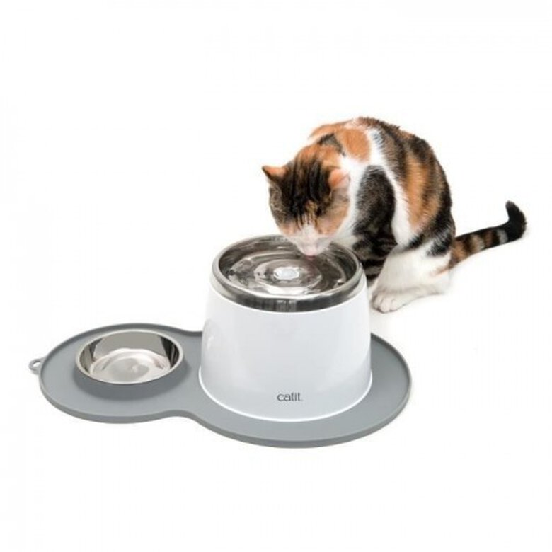 Tazón individual Catit Arch It Archid para gatos color Gris, , large image number null