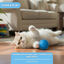 Tootoy! Pelota de Goma Luminosa Azul para gatos, , large indicador imagen numero 5