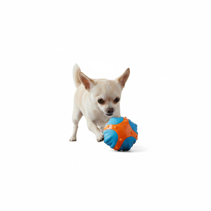 All for paws Meta Ball  X Pelota de rebote Juguete para perros, , large Imagen numero 3