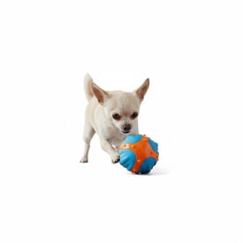 All for paws Meta Ball  X Pelota de rebote Juguete para perros