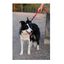 APEX DOG GEAR correa de nylon con doble asa rosa para perros, , large indicador imagen numero 4