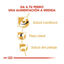 Royal Canin Adult Cavalier King Charles pienso para perros, , large indicador imagen numero 3