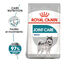 10 kg Royal Canin Joint Care Maxi pienso para perros, , large indicador imagen numero 1
