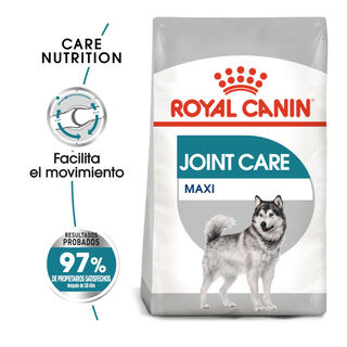 Royal Canin Joint Care Maxi pienso para perros