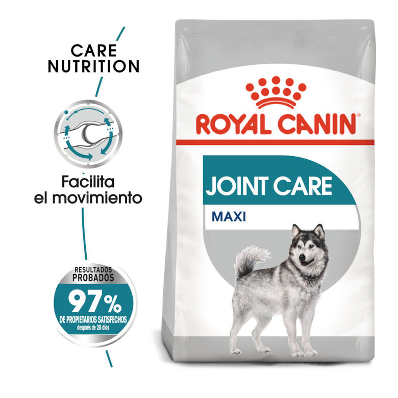 Royal Canin Joint Care Maxi pienso para perros, , large image number null