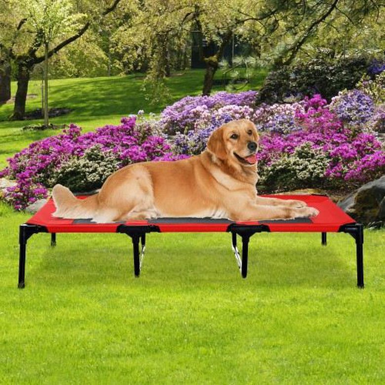 PawHut cama elevada color rojo para perros thumbnail