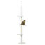 PawHut Árbol para Gatos de Suelo a Techo de 225-255 cm Torre para Gatos de Suelo a Techo Ajustable en Altura con 3 Plataforma de Forma de Nube Postes Rascadores y 2 Bolas 48x32x225-255 cm Blanco, , large indicador imagen numero 1