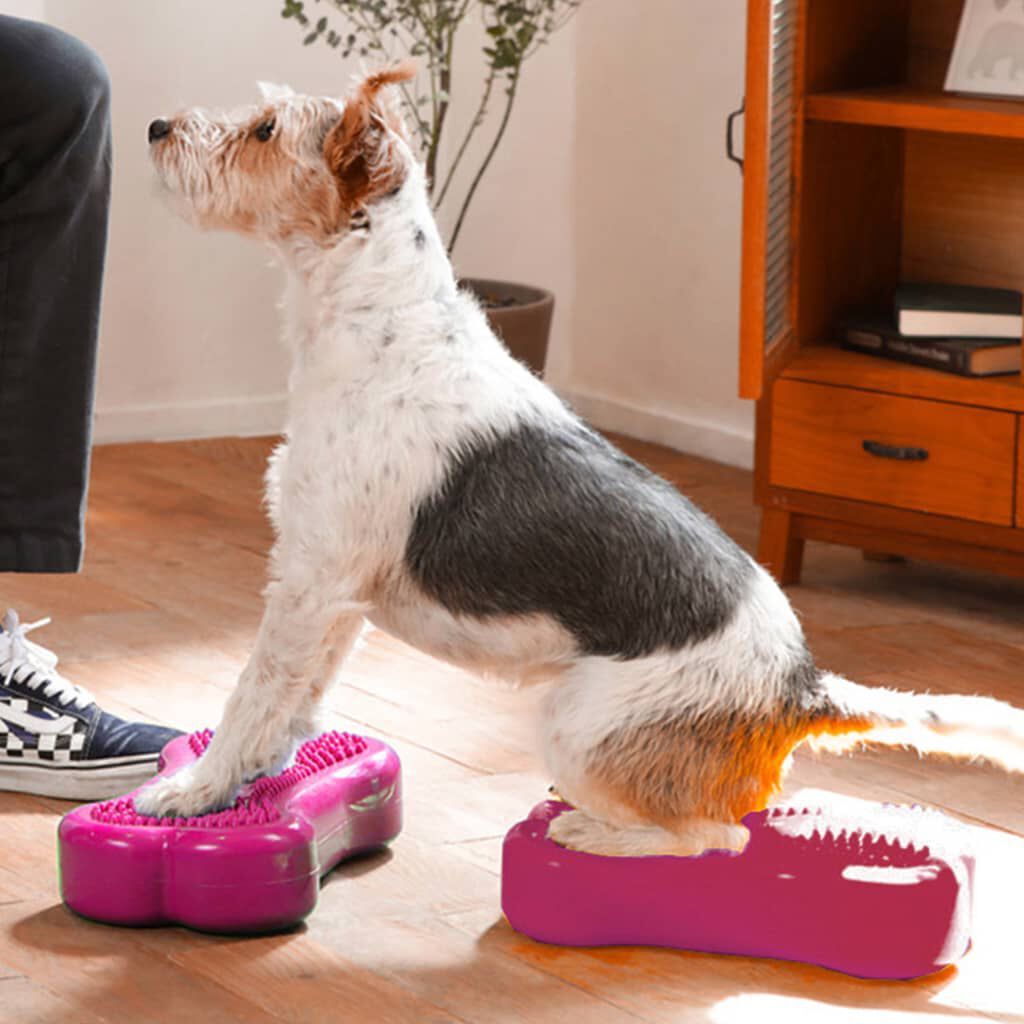FitPAWS Plataforma equilibrio perros Mini K9FITbone 2 uds 29x16,5x6cm, , large Imagen numero 2