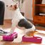 FitPAWS Plataforma equilibrio perros Mini K9FITbone 2 uds 29x16,5x6cm, , large indicador imagen numero 2