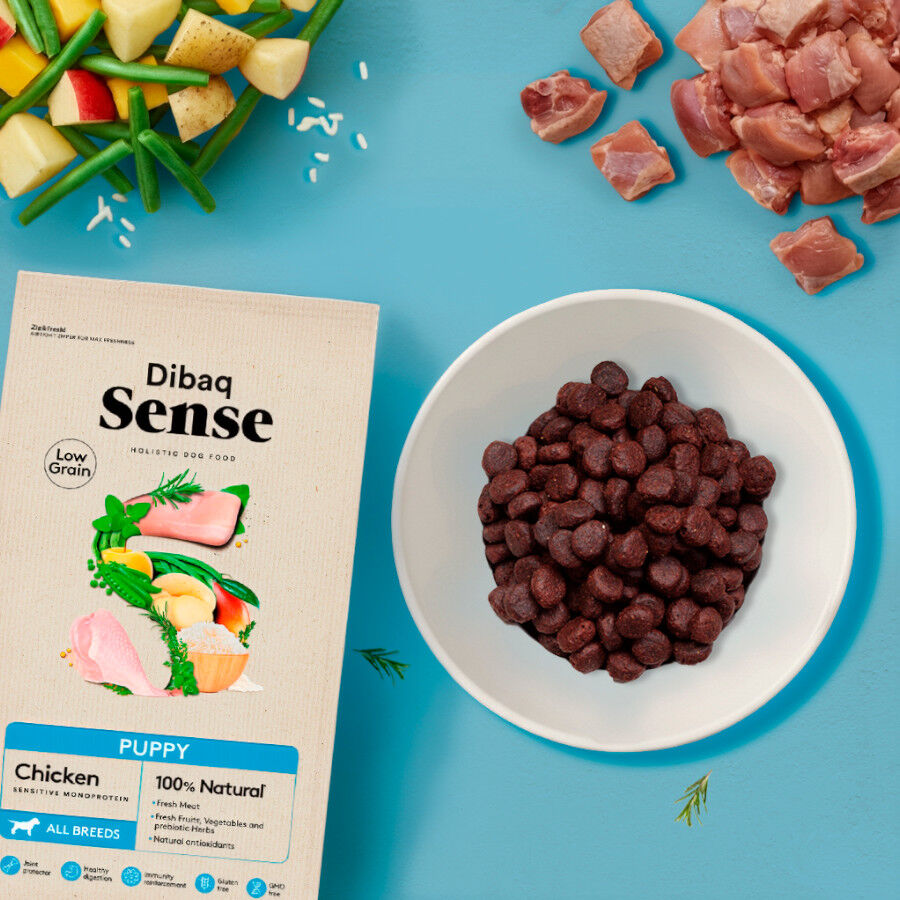 12 kg Dibaq Sense Low Grain Puppy Pollo Pienso para perros, , large Imagen numero 2