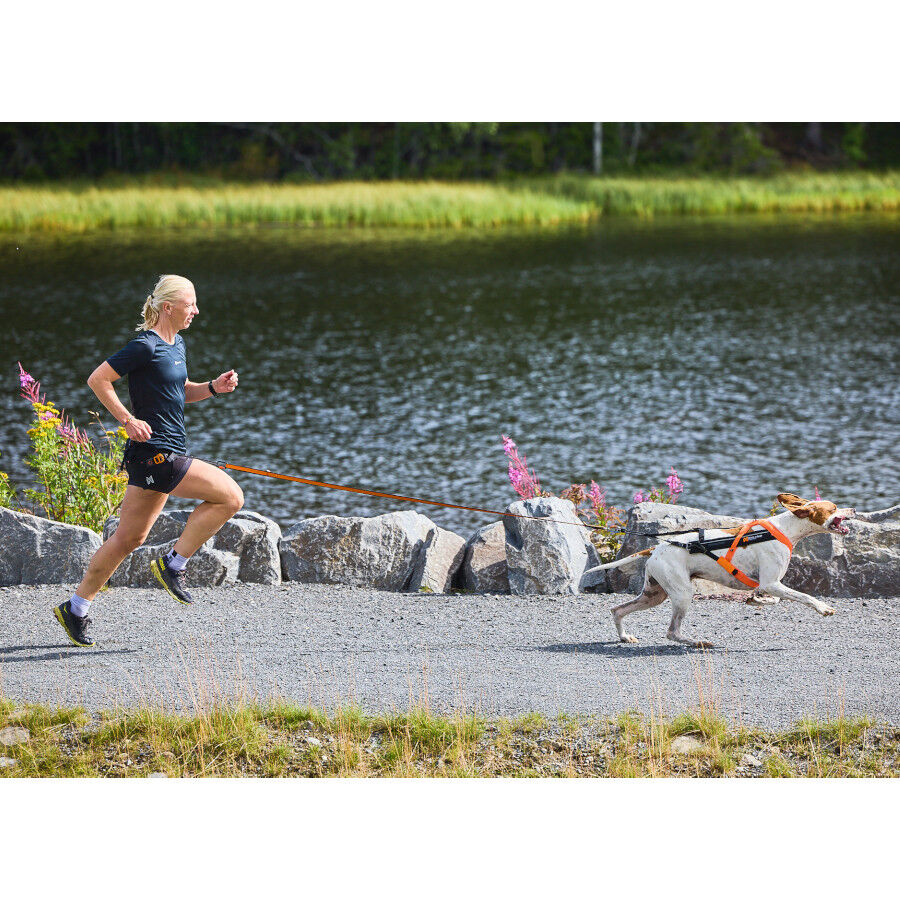 Non-stop dogwear Freemotion Arn&eacute;s Negro y Naranja para perros, , large Imagen numero 2