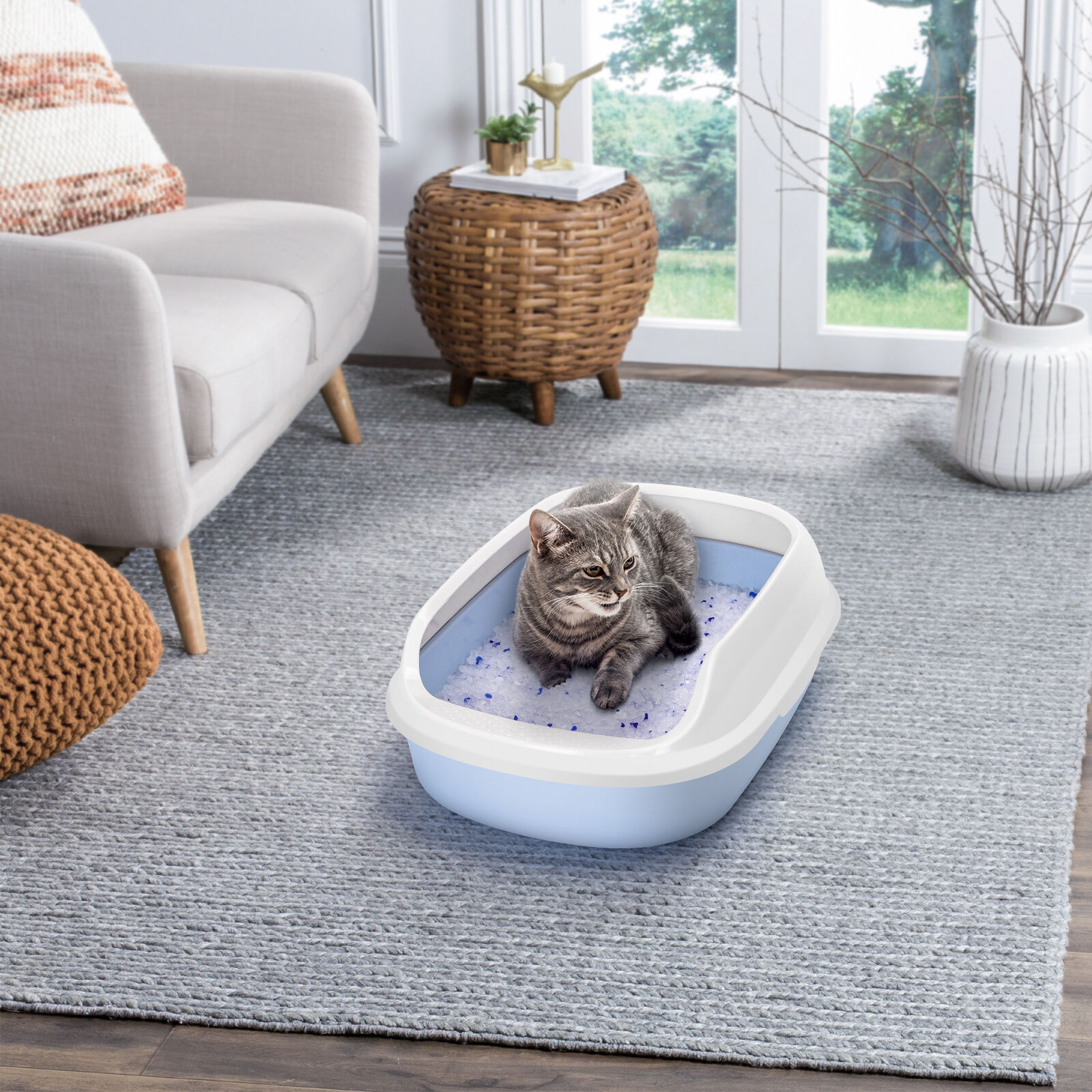 Nobleza Arena de Sílice para gatitos thumbnail