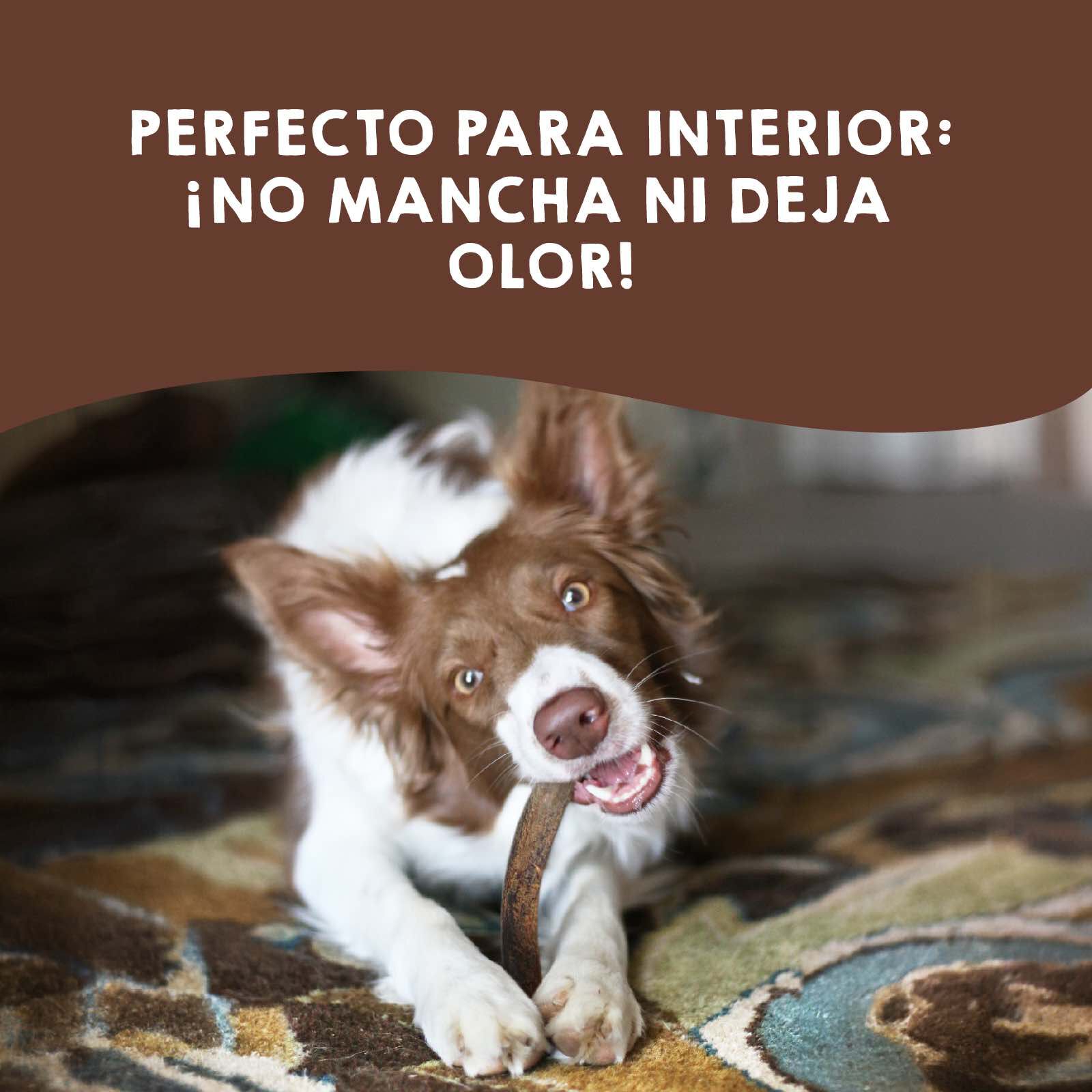 MAIKAI Asta de Ciervo para Perros - Pack de 2 uds - Mordedor Perro Resistente - Huesos para Perros, , large Imagen numero 5