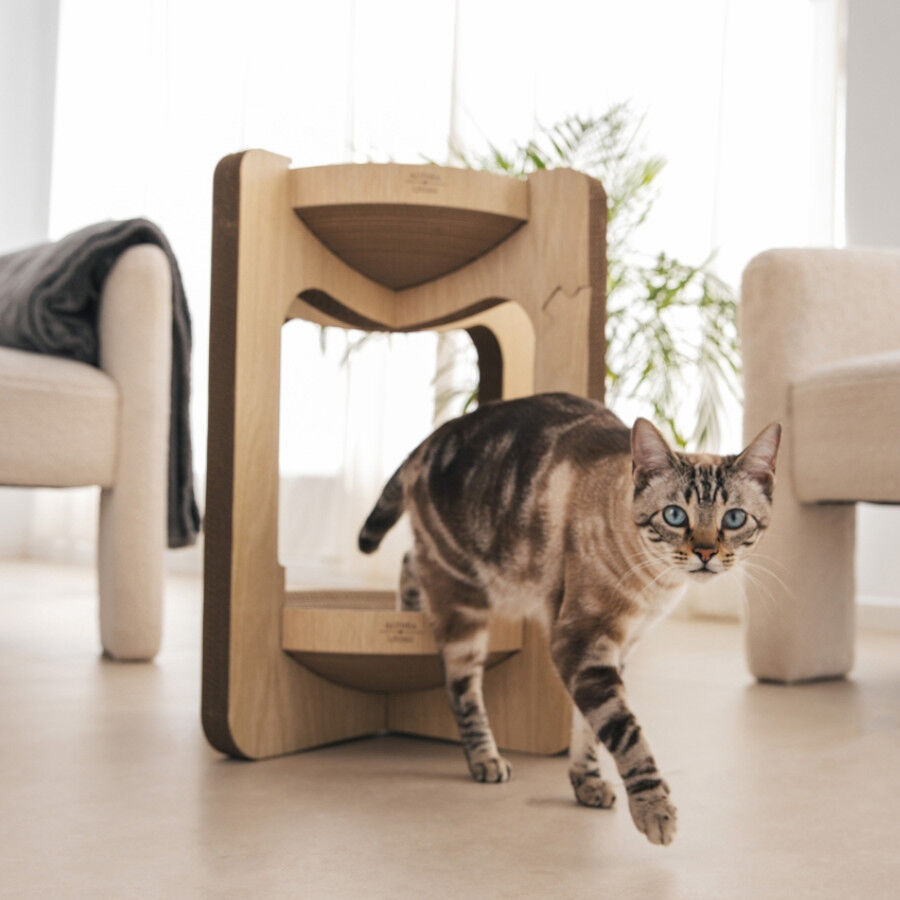 Althea Living - Rascador torre para gatos, cart&oacute;n corrugado, 2 alturas, reversible, , large Imagen numero 2