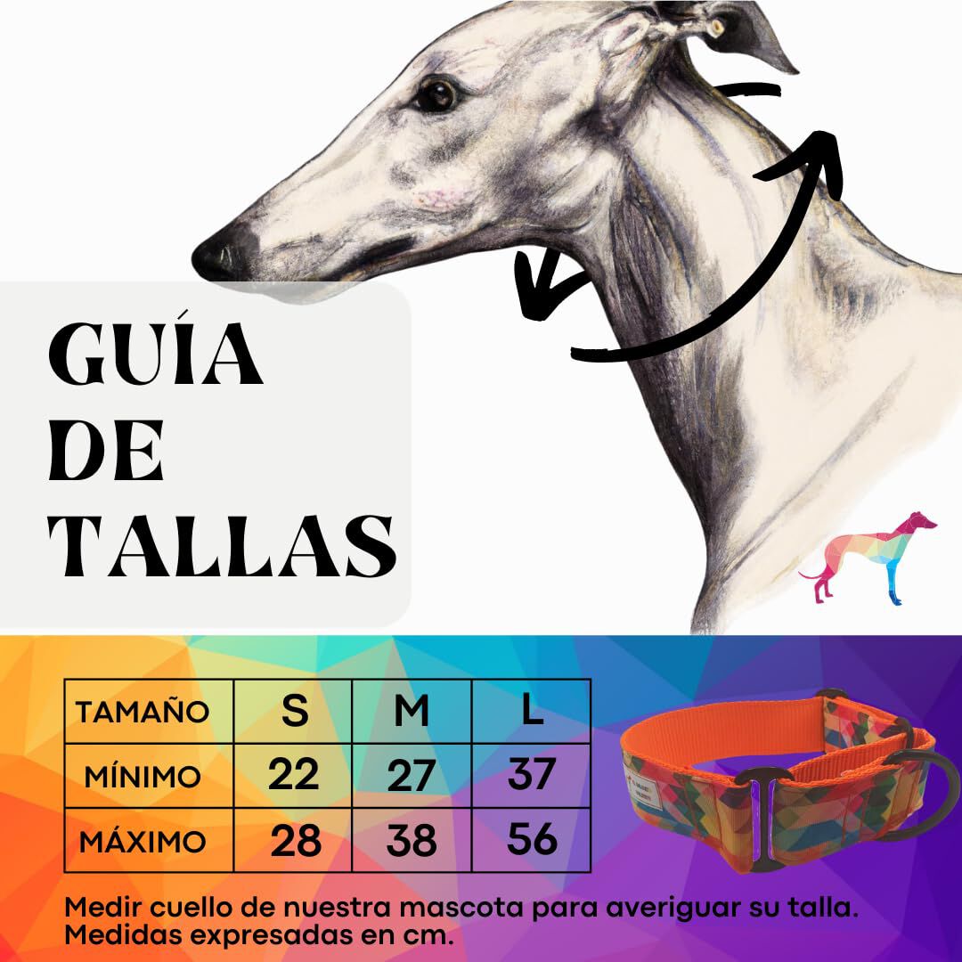 EGV - Collar Martingale. Collar galgo hecho a mano en Espa&ntilde;a (Multicolor), , large Imagen numero 3