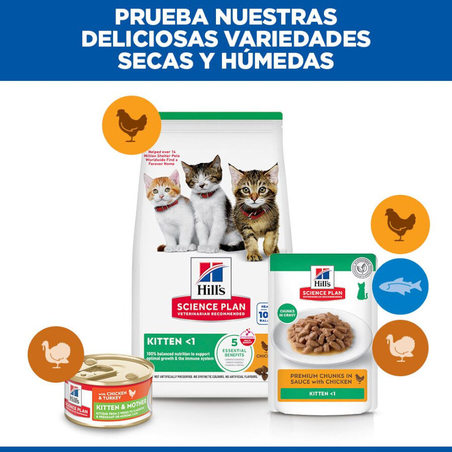 7 kg Hill's Science Plan Kitten Pollo pienso para gatos, , large Imagen numero 7